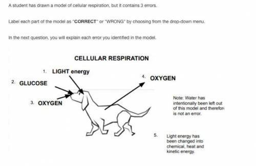 Which part is correct or wrong