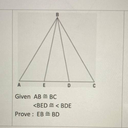 PLEASE HELP FAST, Triangle Congruence