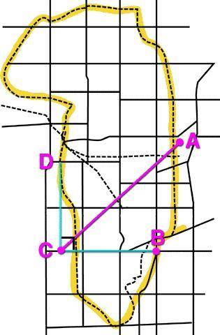 Se the figure to answer the question that follows.

The figure below shows several points, lines a