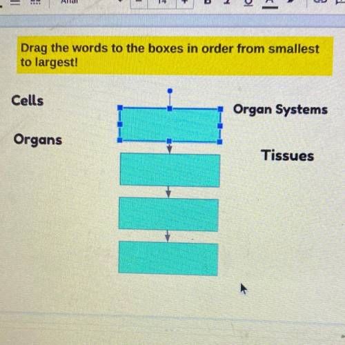 Drag the words to the boxes in order from smallest
to largest!