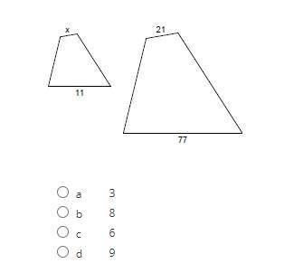 Similar Figures Question 6