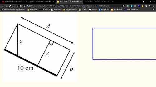 Bianca is trying to find the area of this rectangle. She already measured one side as 10 cm. Which