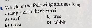 Which of the following animals are an example of a herbivore?

HELP ASAP MARKING BRAINLIEST