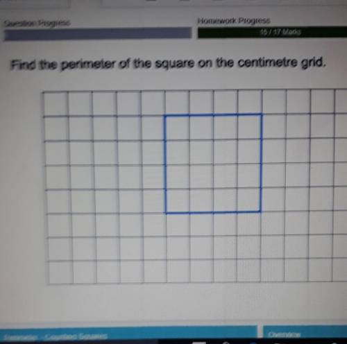 Find the perimeter of the square on the centimeter grid