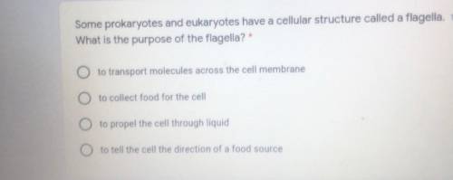 Some prokaryotes and eukaryotes have a cellular structure called a flagella. What is the purpose of