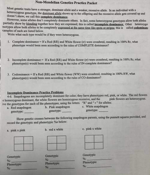 Non-Medellin genetics practice packet