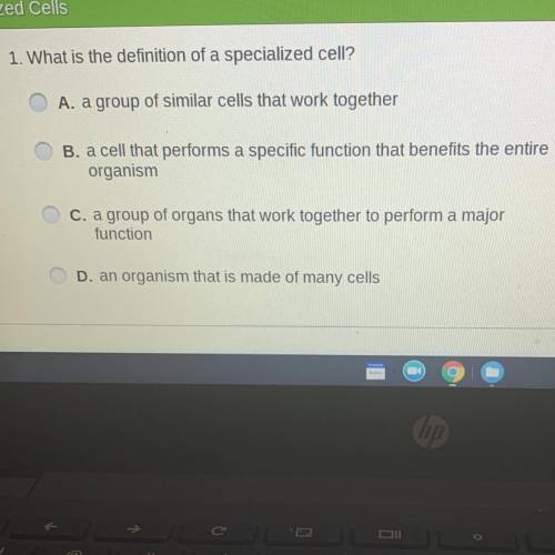 1. What is the definition of a specialized cell?

A. a group of similar cells that work together
B