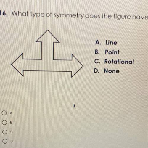 16. What type of symmetry does the figure have?

A. Line
B. Point
C. Rotational
D. None