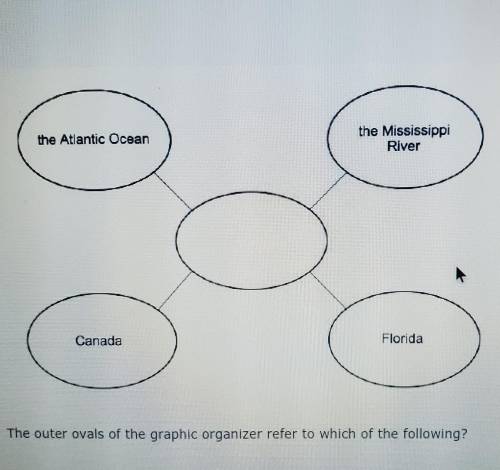 the outer ovals of the graphic organizer refer to which of the followi