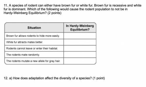 HELP

11. A species of rodent can either have