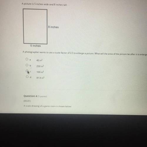 Help me please with this answer
