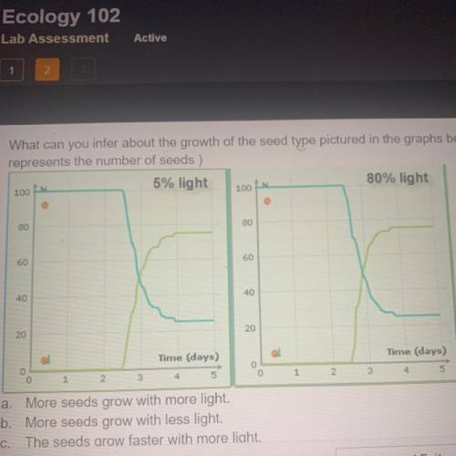 What can you infer about the growth of the seed type pictured in the graphs below? (Note, the verti