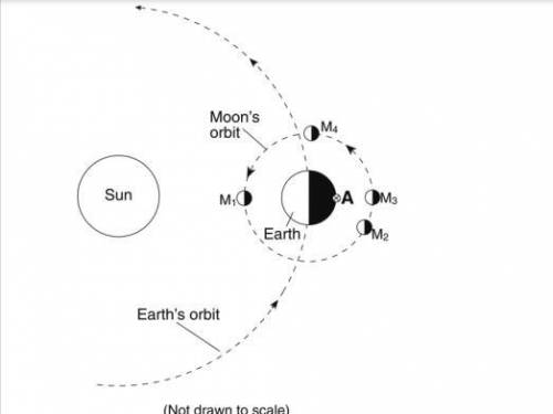 Use the diagram below, which shows Earth in orbit around the Sun, and the Moon in orbit around Eart