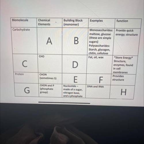 Look at the image below 
What would represent A, B, C, D. E, F, G