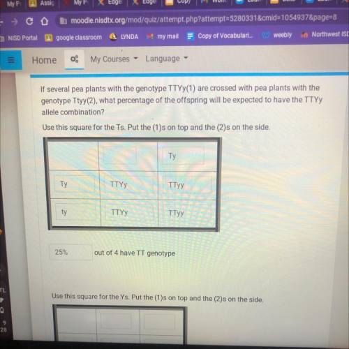 I need help asappp plzzzzz I need help filling in the squares for the top and bottom punnet square