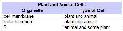 Ling made a study chart for science class.

Which organelle accurately completes the chart?A- Lyso