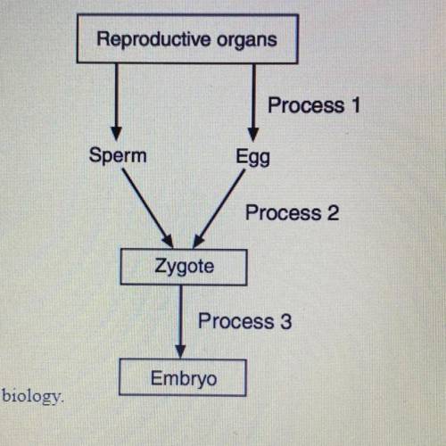 Part a: explain why process 2 is important to sexual reproduction

part b: identify processes 1 an
