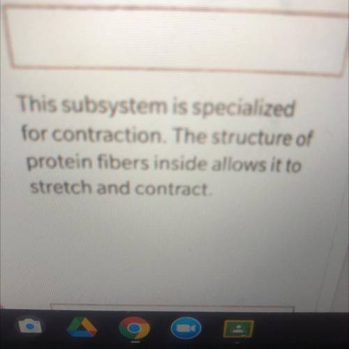This subsystem is specialized

for contraction. The structure of protein fibers inside allows it t
