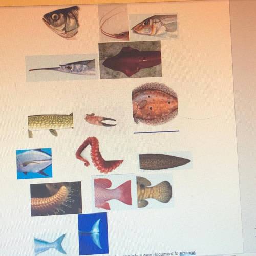 Please use the fish parts below to create an animal. You can also draw your own! (3 points)

Once