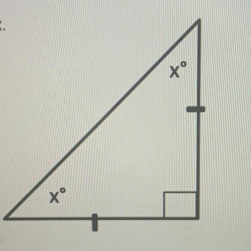 Solve for the angle x.
