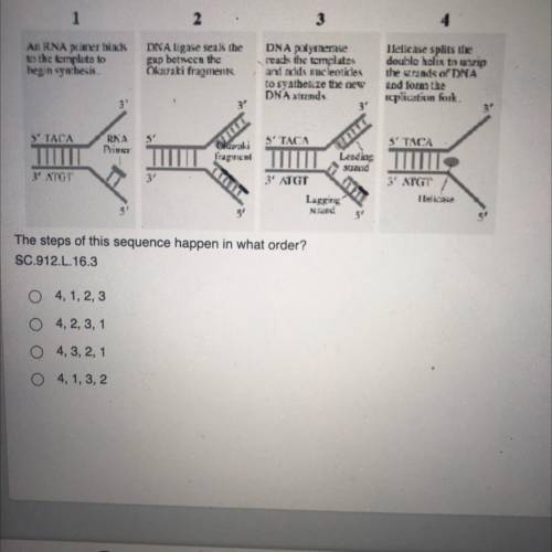 Look at the diagrams below. They show steps in the sequence of replication. PLEASE HELP ME!!