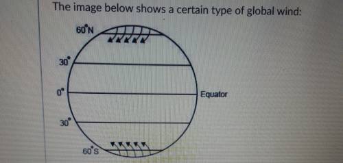 The image below shows a certain type of global wind:

What best describes these winds?
A. Trade wi