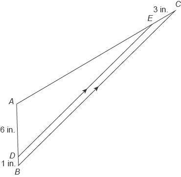 In the diagram, BC¯¯¯¯¯∥DE¯¯¯¯¯.

What is AE?
Enter your answer in the box.
in.