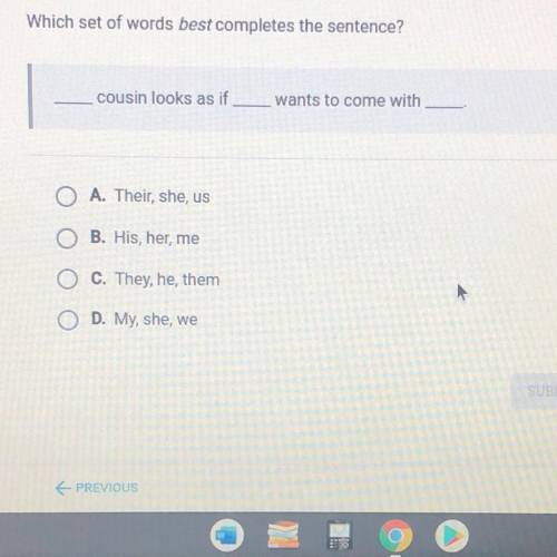 Which set of words best completes the sentence?

cousin looks as if
wants to come with
A. Their, s