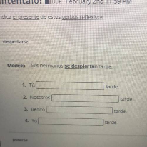 Despertarse
Modelo Mis hermanos se despiertan tarde.
Spanish please help