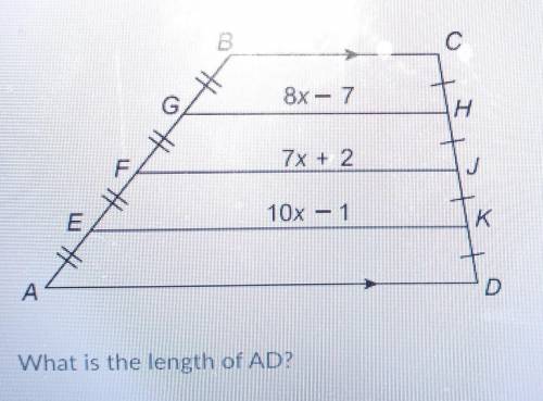 What is the length of AD?