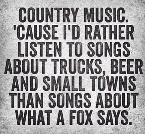Yes.sir i hat..e ra.p and p.op and that Bt..S cra...p country music for life