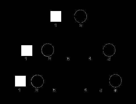 I WILL GIVE BRAINLIEST!!!

The pedigree below tracks the presence of dimples through a family's ge