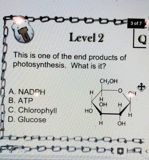 This is one of the end products of photosynthesis. what is it ? ASAP