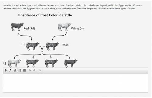 In cattle, if a red animal is crossed with a white one, a mixture of red and white color, called ro