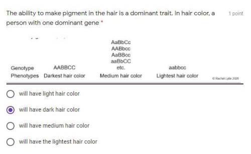 The ability to make pigment in the hair is a dominant trait. In hair color, a person with one domin