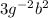 3 {g}^{ - 2}  {b}^{2}