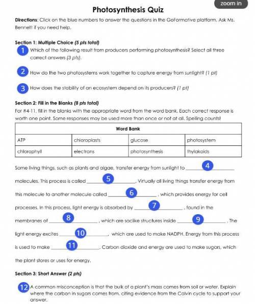 I need help for Photosynthesis Quiz ASAP?