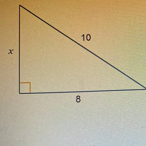 What is the value of x ?