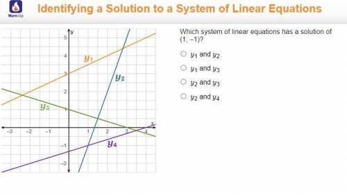 Which one is it

Which system of linear equations has a solution of
(1, –1)? 
y1 and y2
y1 and y3