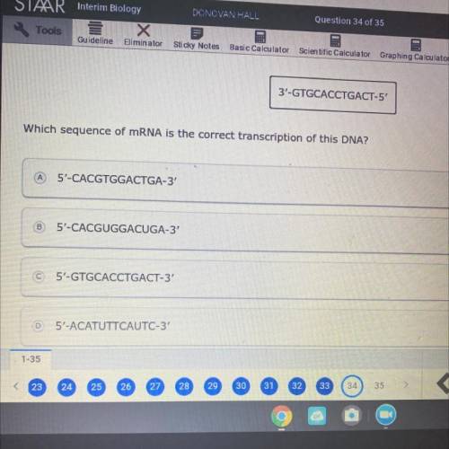 3'-GTGCACCTGACT-5'
Which sequence of mRNA is the correct transcription of this DNA?