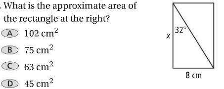 What is the approximate area of the rectangle at the right?

A. 102 cm²
B. 75 cm²
C. 63 cm²
D. 45