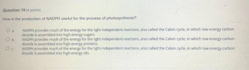 Question 19 (4 points)

How is the production of NADPH useful for the process of photosynthesis?
N