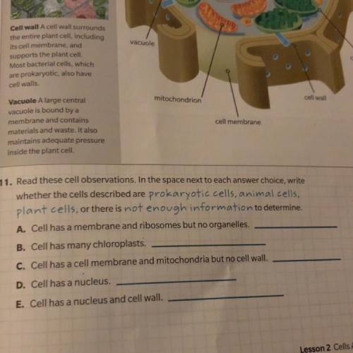 Read these cell observations. In the space next to each answer choice, write whether the cells desc