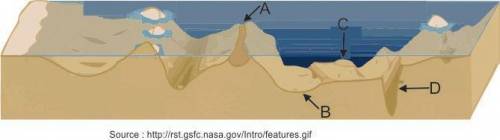 The picture below shows some features of the ocean floor.

Which of these features is present on e