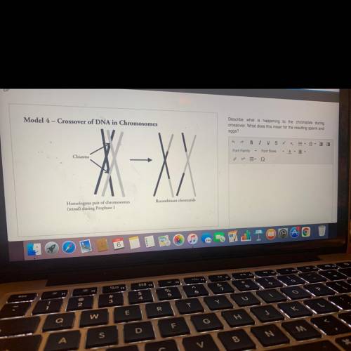 Describe what is happening to the chromatids during crossover what does this mean reaching sperm an