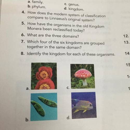 I need the answer to number 8 please :)