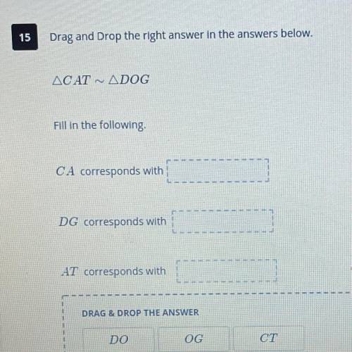 Drag and Drop the right answer in the answers below.
CAT ~ DOG