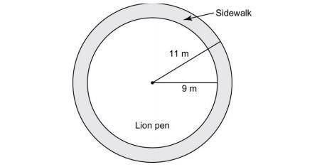 At a zoo, the lion pen has a ring-shaped sidewalk around it. The outer edge of the sidewalk is a ci