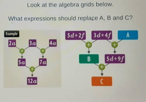 PLEASE HELP ME WITH MATHS