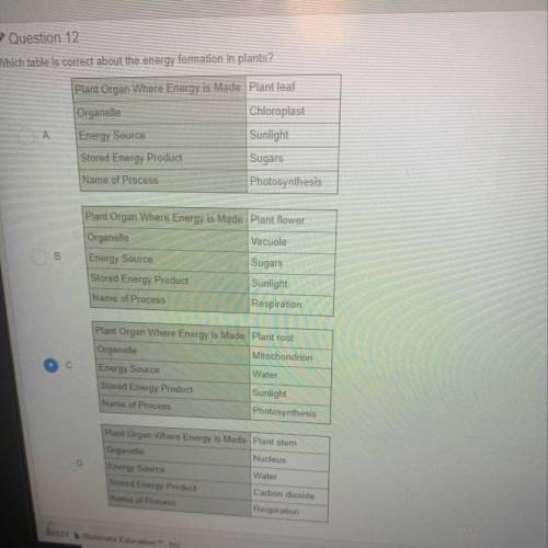 Which table is correct about the energy formation in plants?

Plant Organ Where Energy is Made Pla